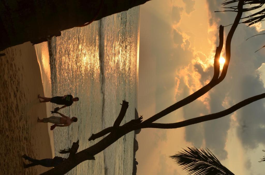 Time N Tide Beach Resort Hikkaduwa Dış mekan fotoğraf